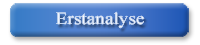 Erstanalyse